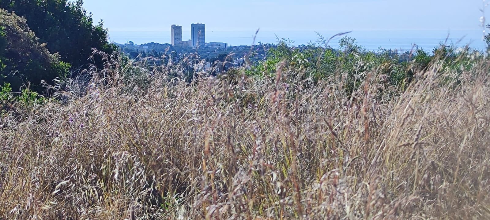 Działka budowlana na sprzedaż w Marbella - 550 000 € (Ref: 9017270)