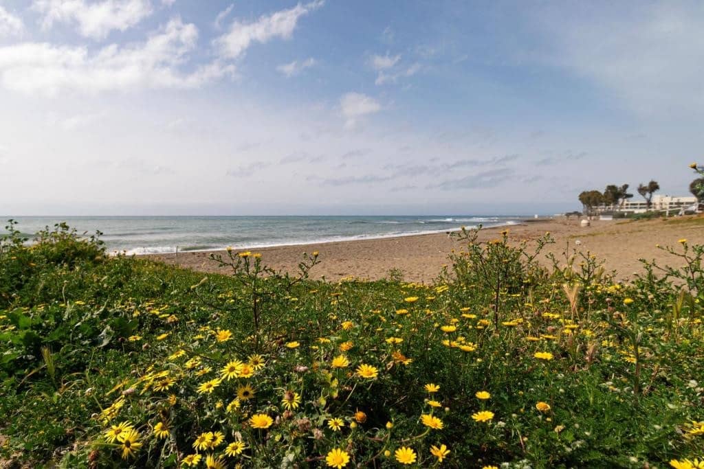 2 soverom Leilighet til salgs i Guadalmansa med svømmebasseng garasje - € 550 000 (Ref: 9134627)