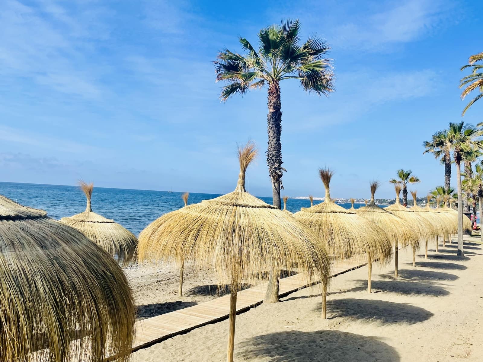 7 Zimmer Gewerbe zu verkaufen in Marbella - 1.500.000 € (Ref: 9206656)