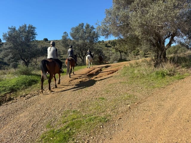Building Plot for sale in La Cala de Mijas, Mijas - € 2,400,000 (Ref: 9508653)
