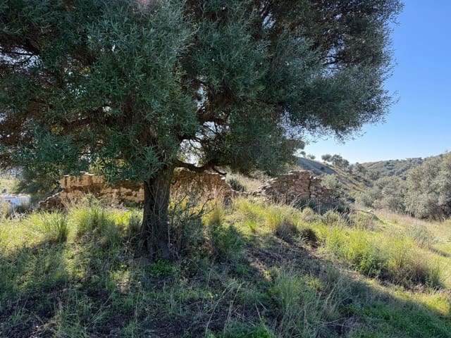 Building Plot for sale in La Cala de Mijas, Mijas - € 2,400,000 (Ref: 9508653)