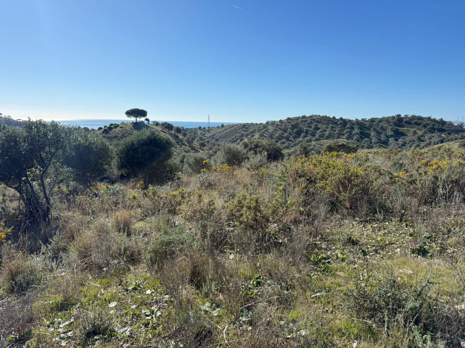 Terrain à Bâtir à vendre à La Cala de Mijas - 2 400 000 € (Ref: 9508653)