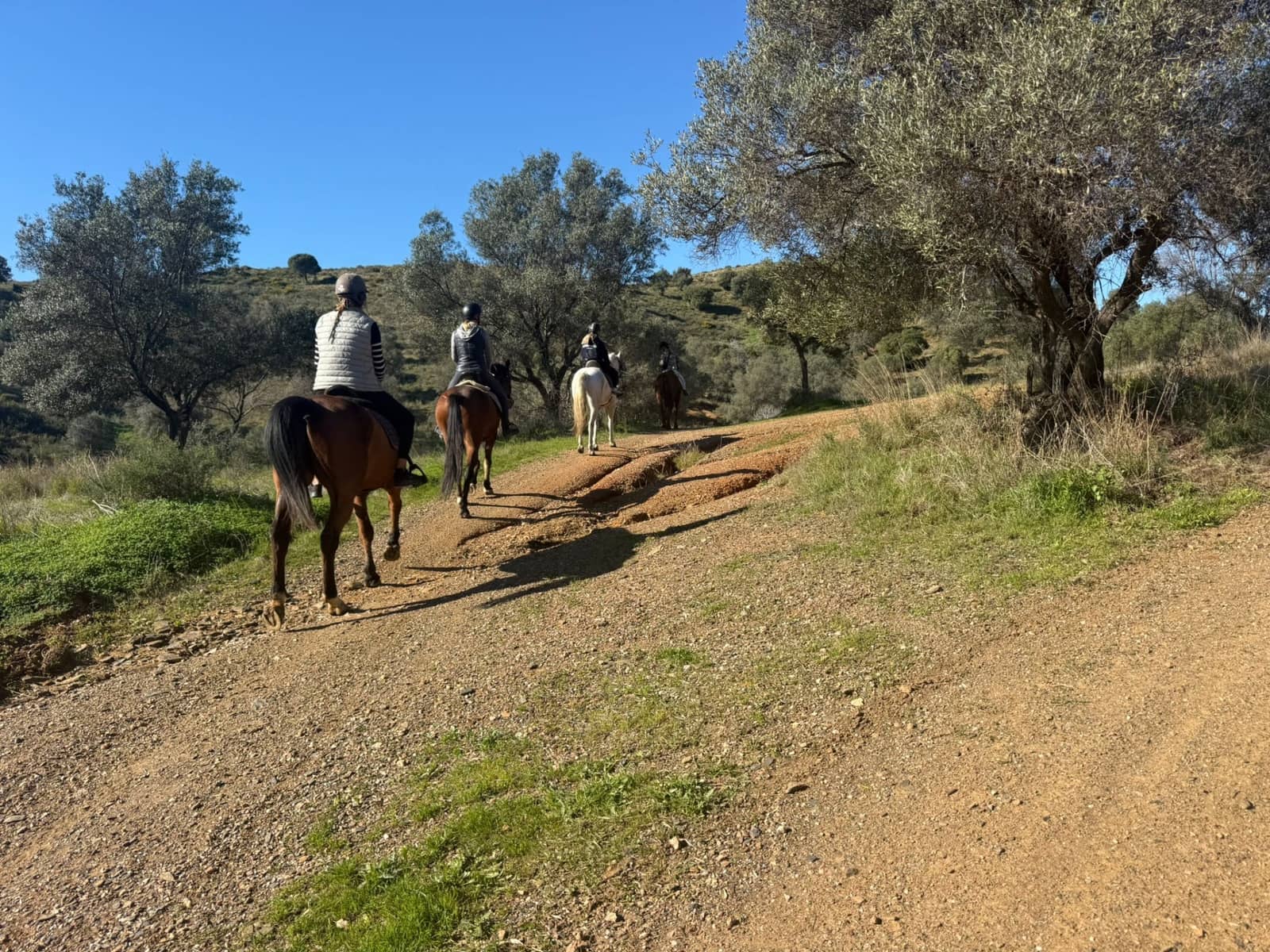 Terrain à Bâtir à vendre à La Cala de Mijas - 2 400 000 € (Ref: 9508653)