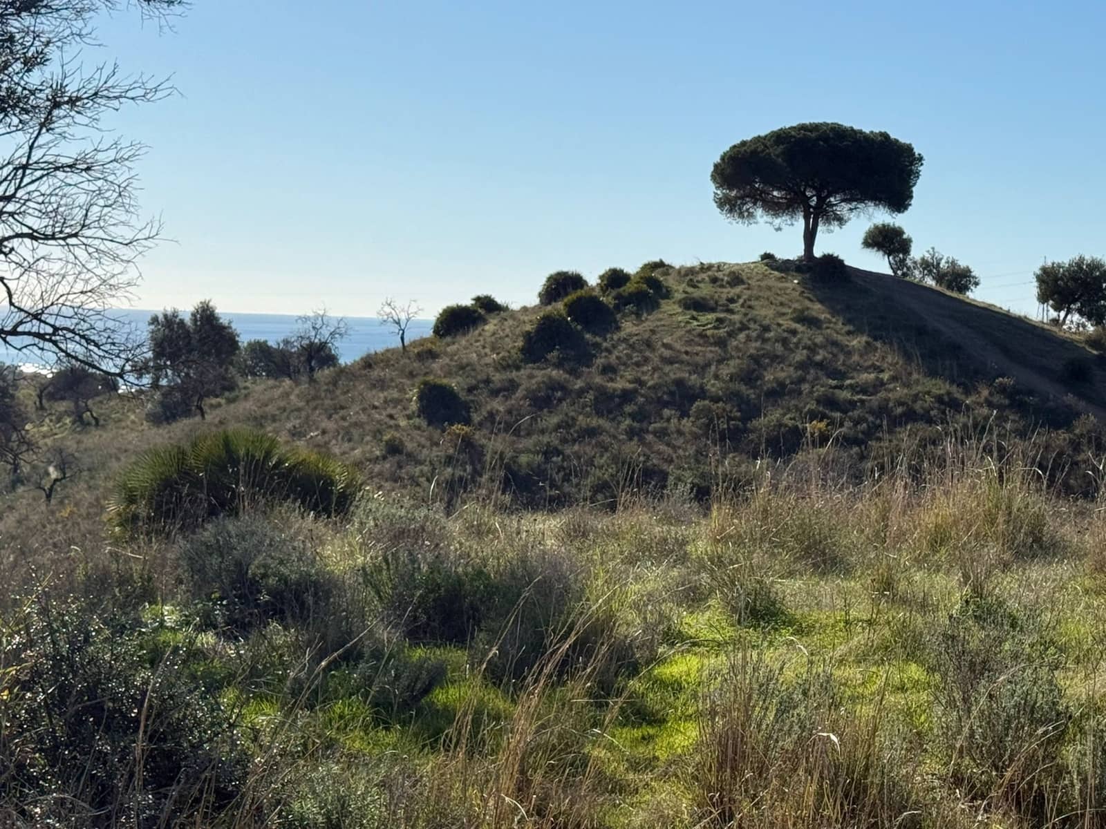 Terrain à Bâtir à vendre à La Cala de Mijas - 2 400 000 € (Ref: 9508653)