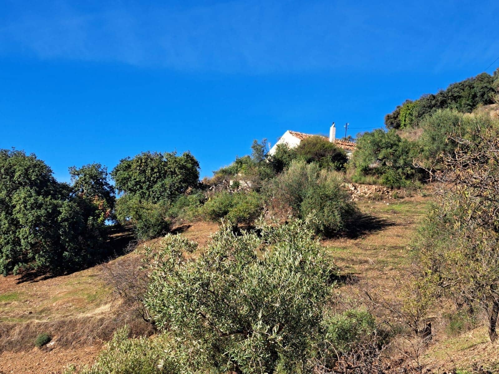 3 chambre Finca/Maison de Campagne à vendre à Colmenar - 119 000 € (Ref: 9786812)