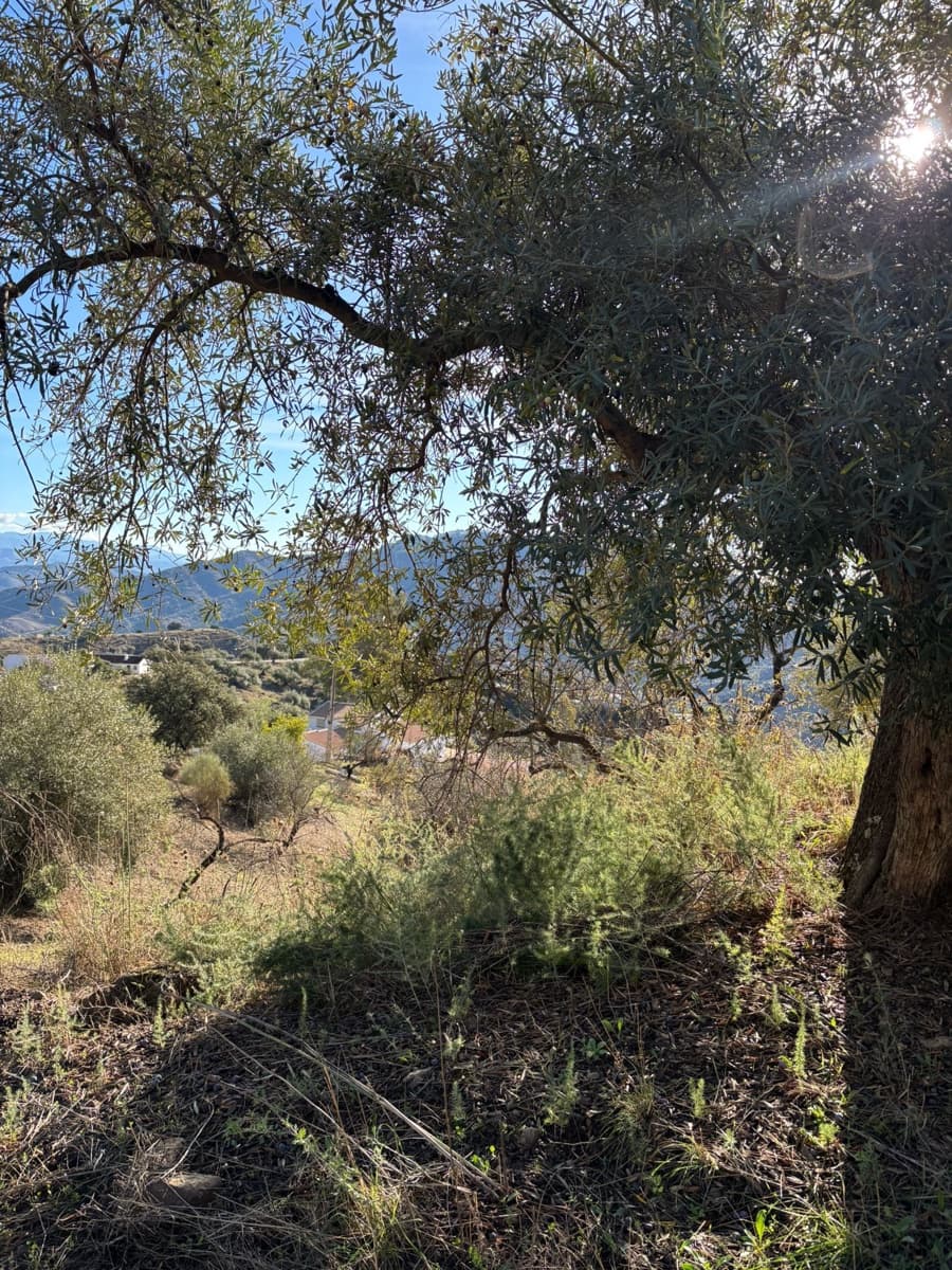 3 chambre Finca/Maison de Campagne à vendre à Colmenar - 119 000 € (Ref: 9786812)