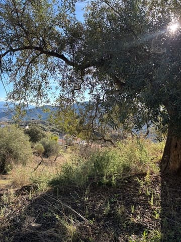 3 chambre Finca/Maison de Campagne à vendre à Colmenar - 119 000 € (Ref: 9786812)