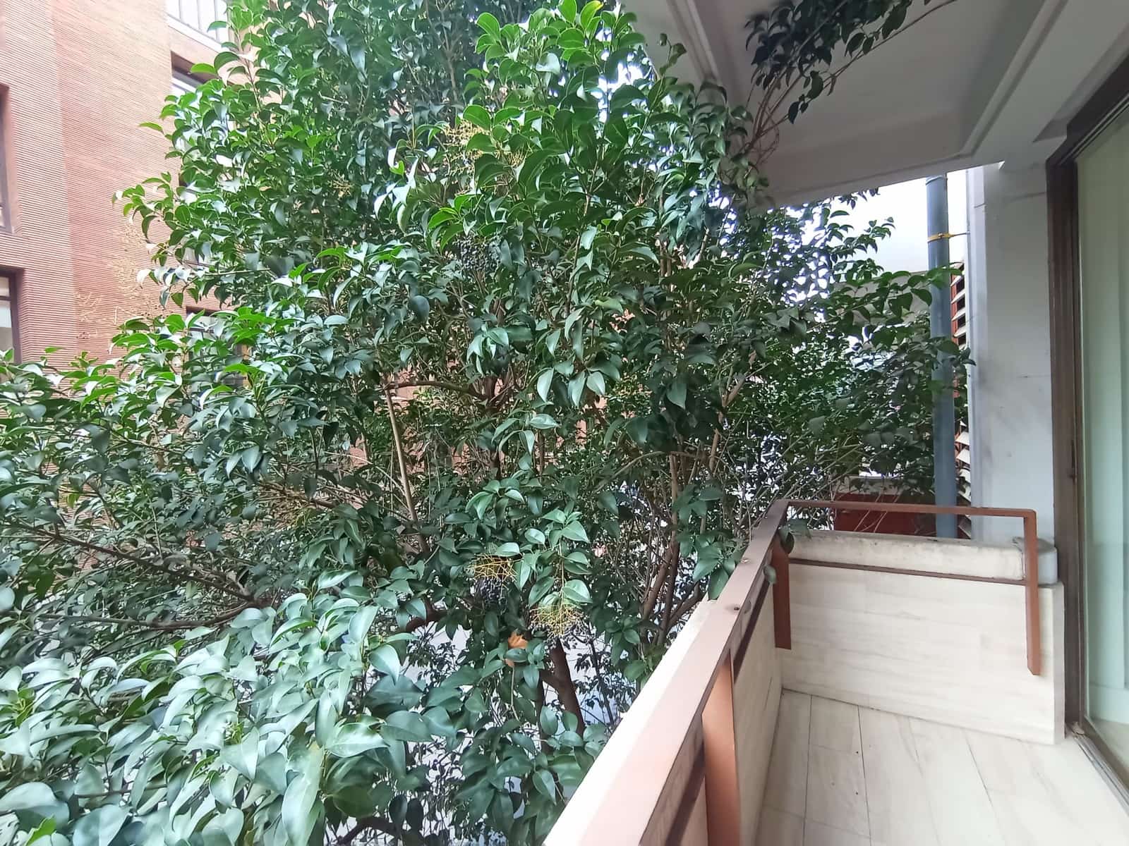 Piso de 1 habitación en Madrid ciudad en alquiler con piscina - 1.650 € (Ref: 9426976)