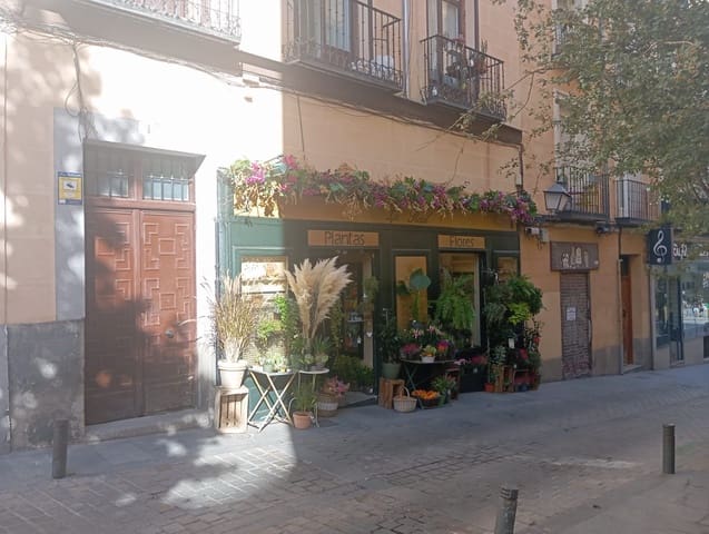 1 soveværelse Lejlighed til leje i Palacio, Madrid by - € 700 (Ref: 9820042)