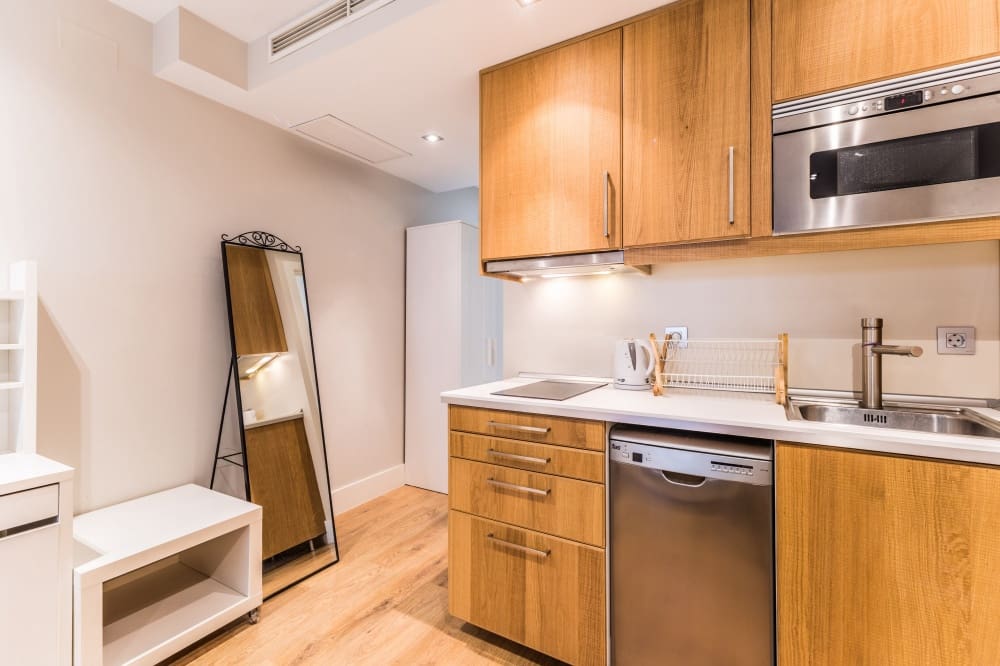 Appartement de 1 chambre à louer à Madrid ville - 1 300 € (Ref: 9921901)