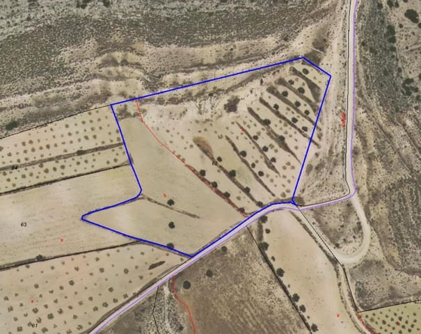 2 soveværelse Villa til salg i Jumilla med swimmingpool - € 350.000 (Ref: 9542199)