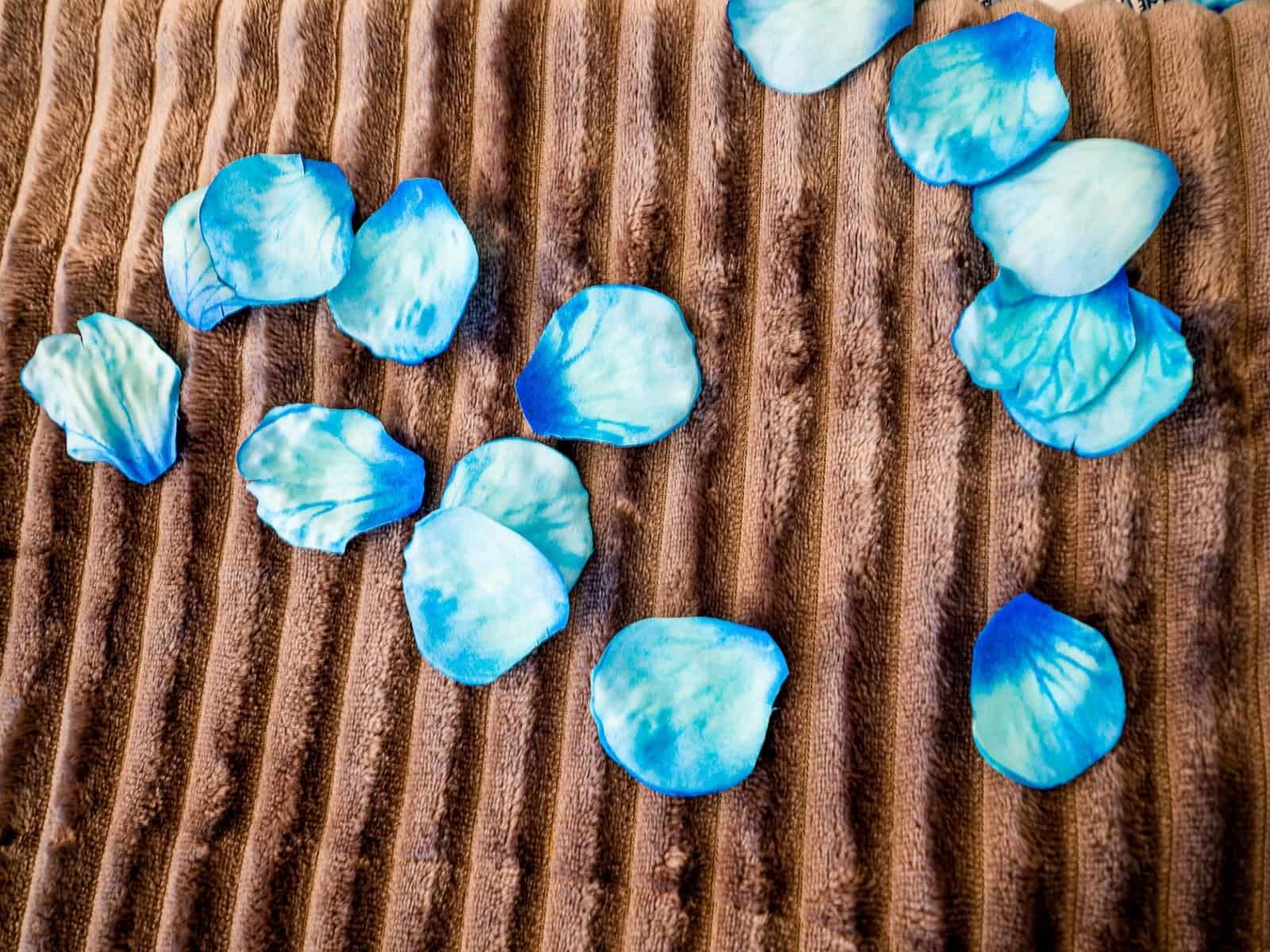 3 bedroom Villa for sale in Algorfa with pool - € 449,000 (Ref: 6350818)