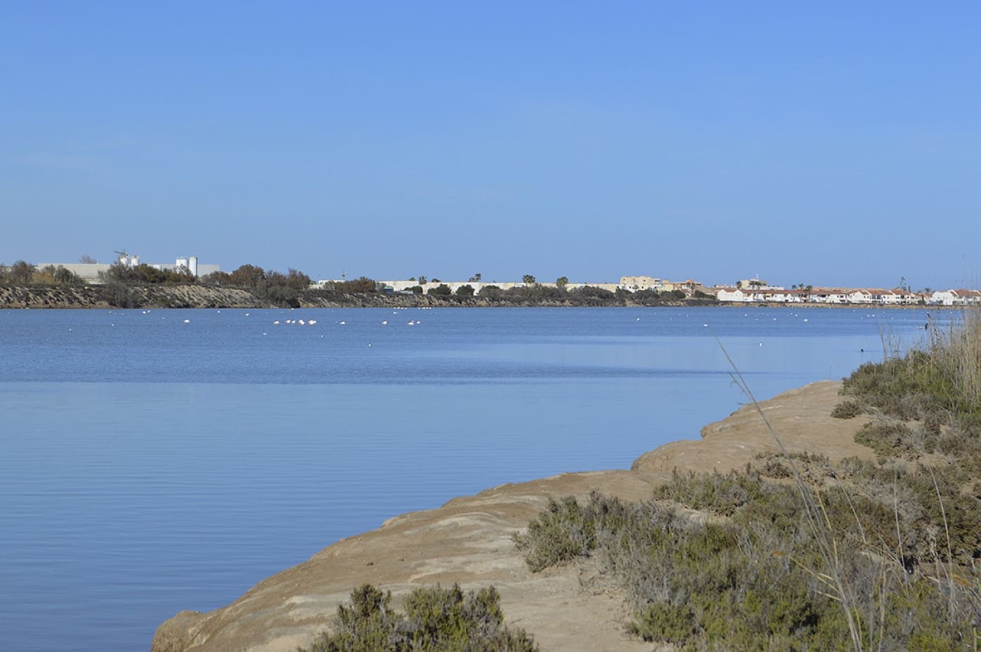 2 sypialnia Bungalow na sprzedaż w Lo Pagan z basenem - 229 000 € (Ref: 6350826)