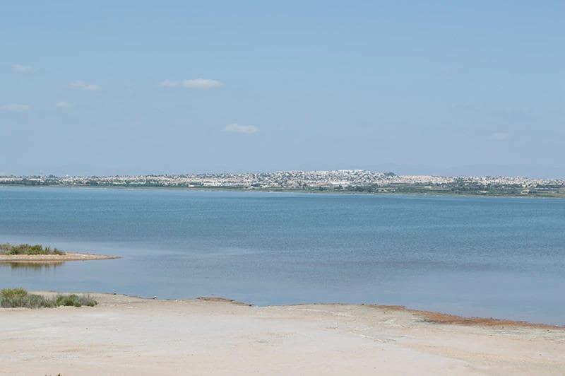 2 Zimmer Apartment zu verkaufen in Torrevieja - 170.000 € (Ref: 8993907)