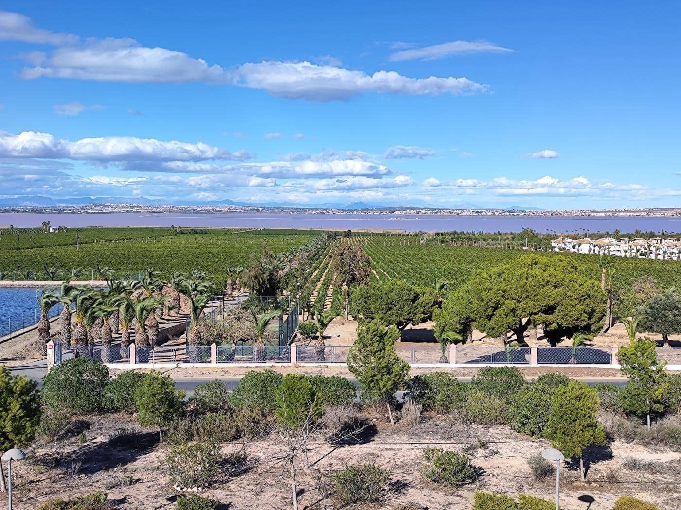 2 soverom Bungalow til salgs i Los Balcones med garasje - € 349 000 (Ref: 9100851)