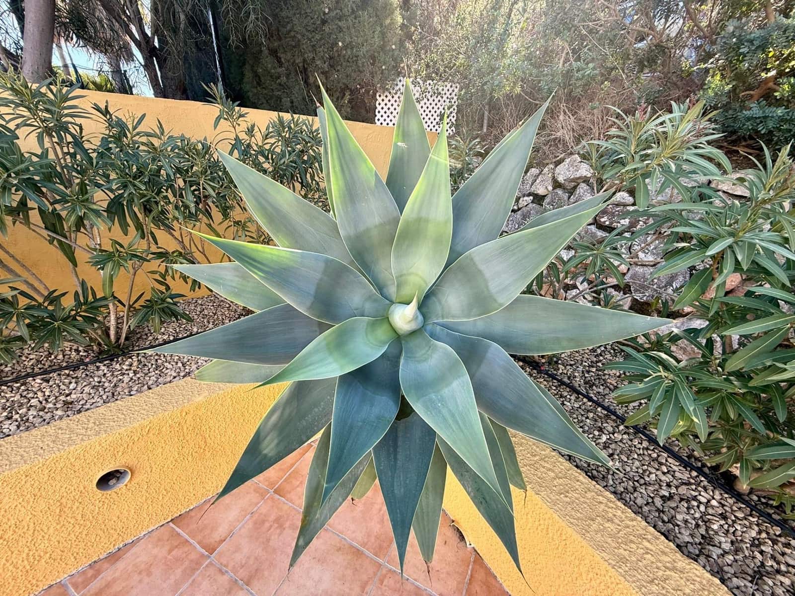 4 sypialnia Willa na sprzedaż w Calpe / Calp - 595 000 € (Ref: 9208423)