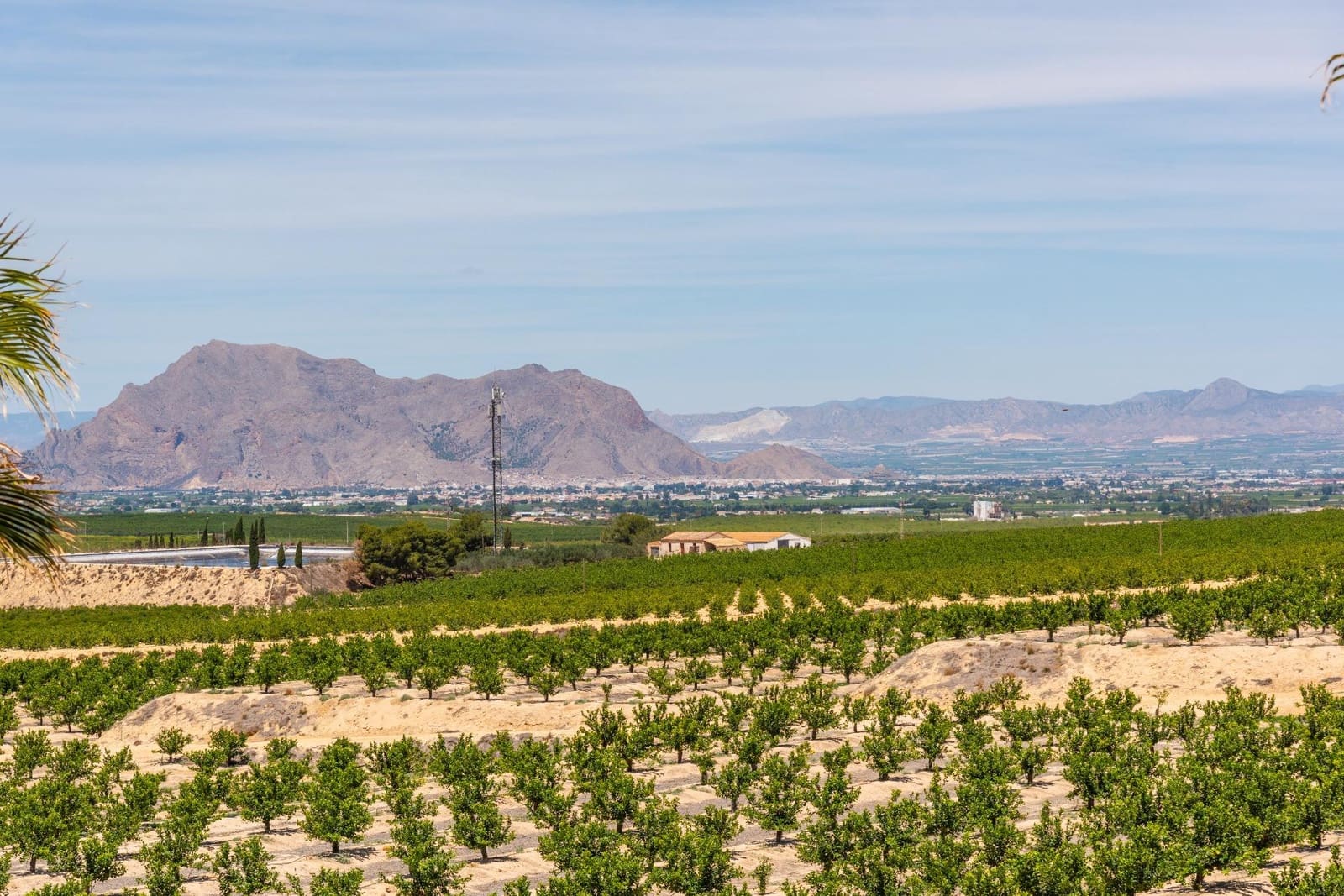 3 bedroom Villa for sale in Algorfa - € 450,000 (Ref: 9215188)