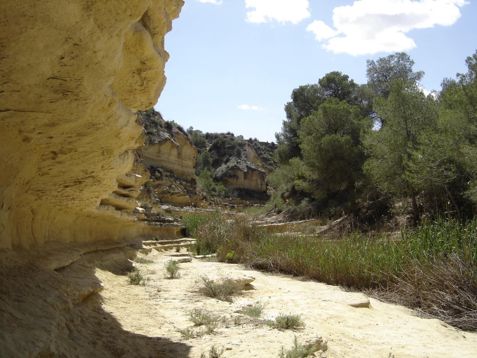 2 bedroom Apartment for sale in Pilar de la Horadada with pool garage - € 295,000 (Ref: 9652123)