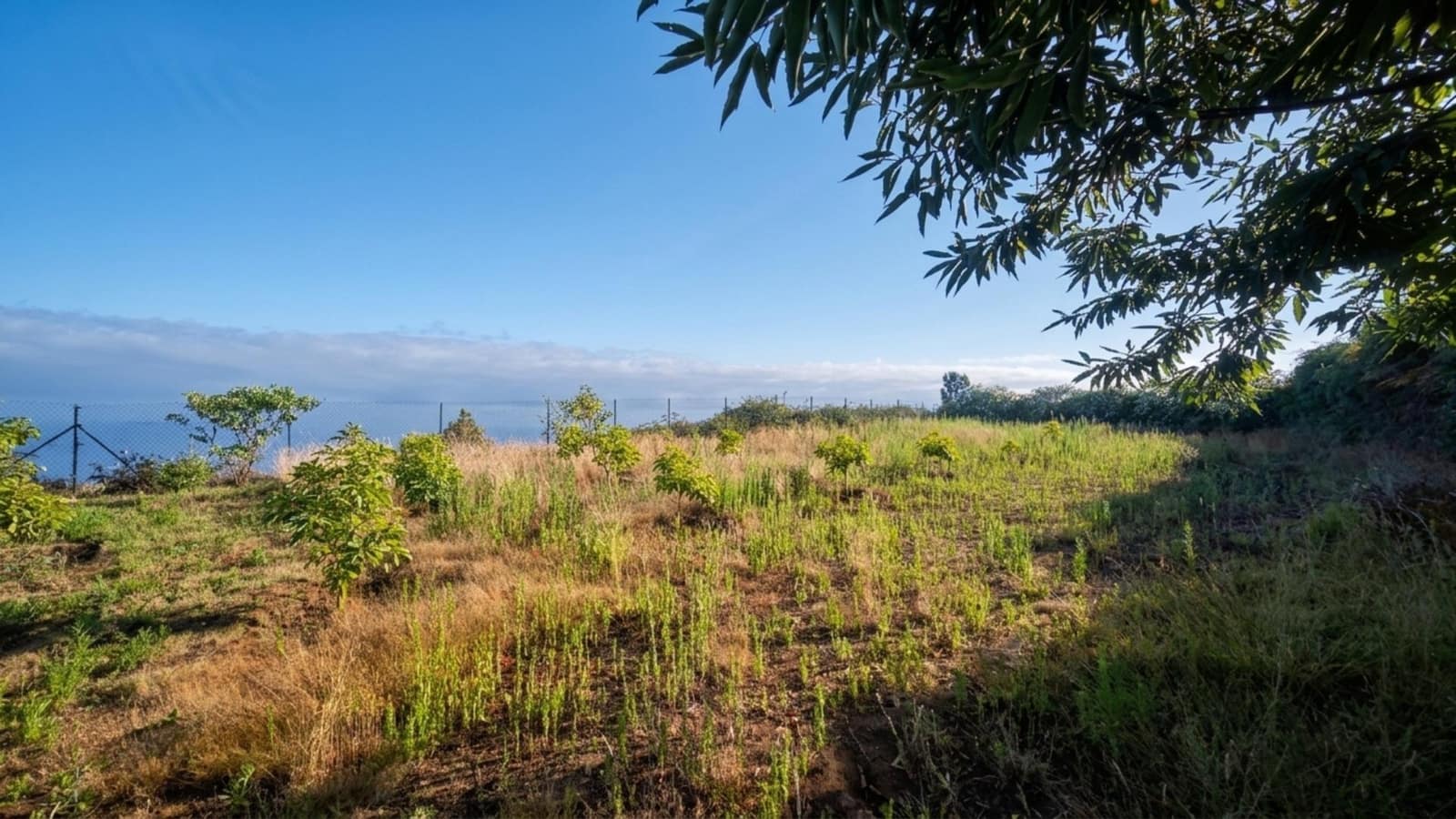 1 chambre Finca/Maison de Campagne à vendre à Los Realejos - 180 000 € (Ref: 10013425)