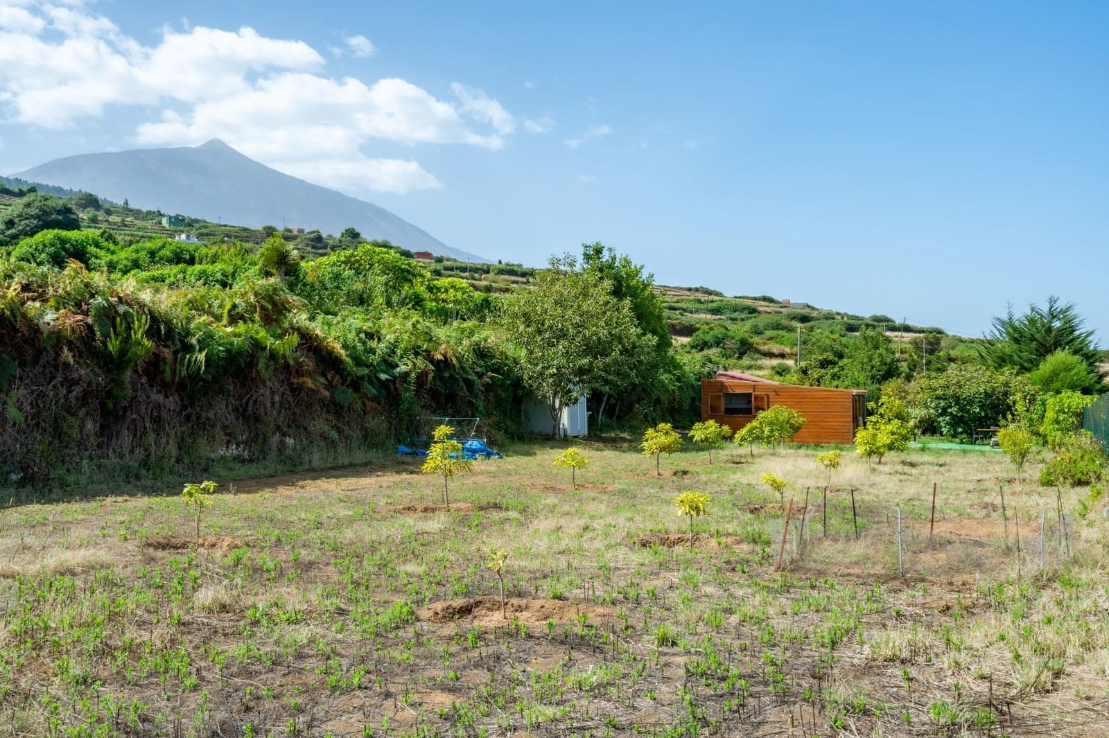 Finca/Casa Rural de 1 habitación en Los Realejos en venta - 180.000 € (Ref: 10013425)