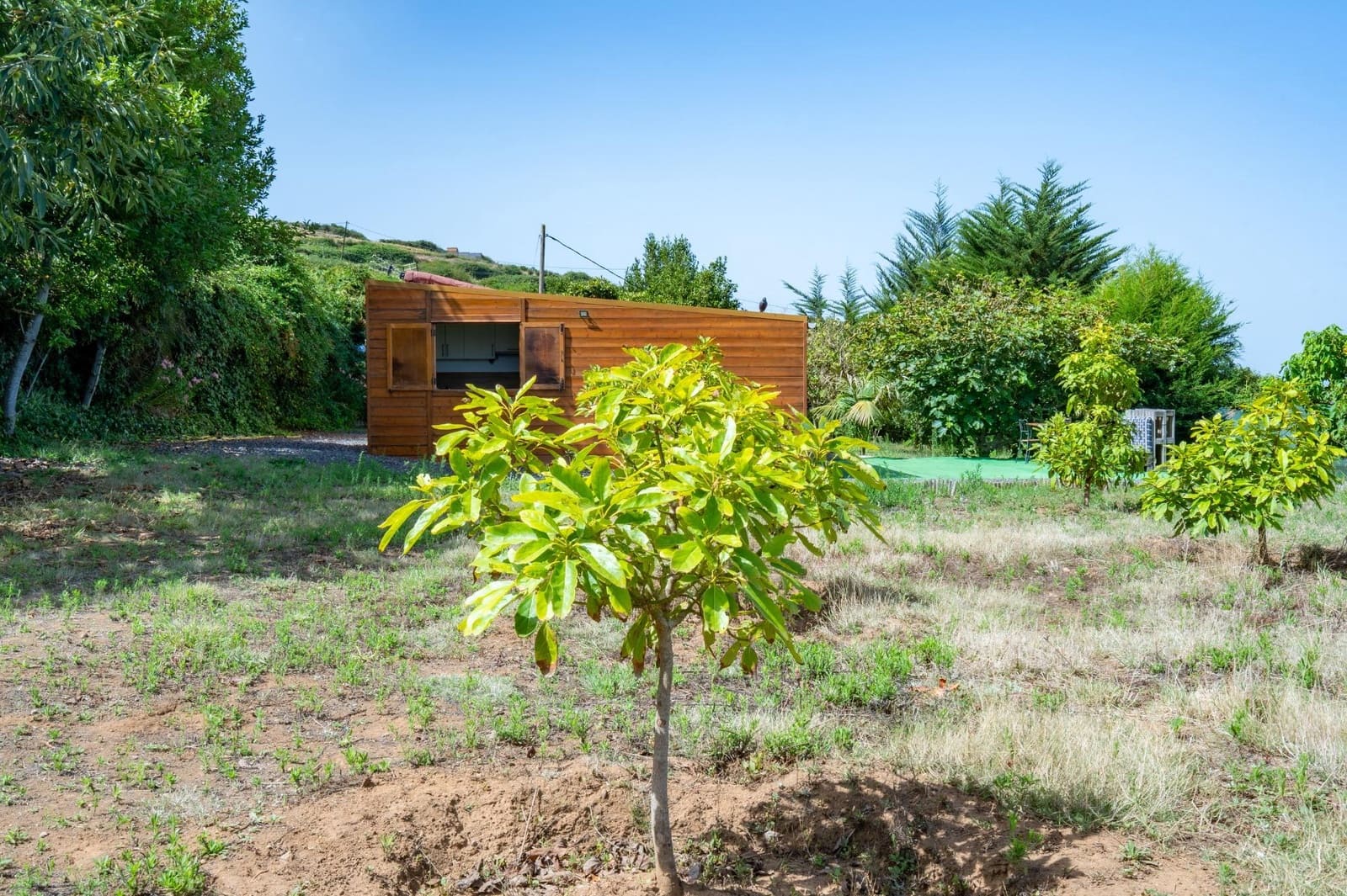 Finca/Casa Rural de 1 habitación en Los Realejos en venta - 180.000 € (Ref: 10013425)