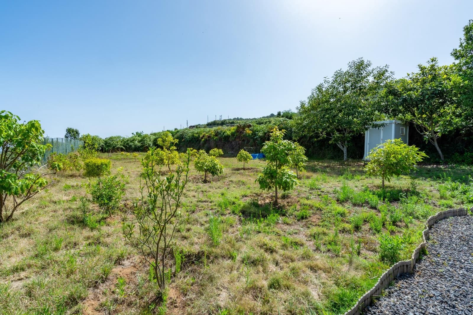 Finca/Casa Rural de 1 habitación en Los Realejos en venta - 180.000 € (Ref: 10013425)