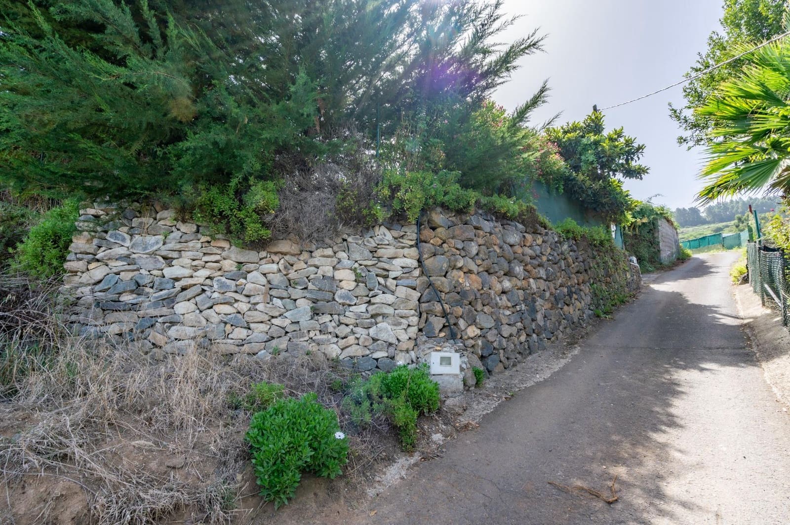 Finca/Casa Rural de 1 habitación en Los Realejos en venta - 180.000 € (Ref: 10013425)