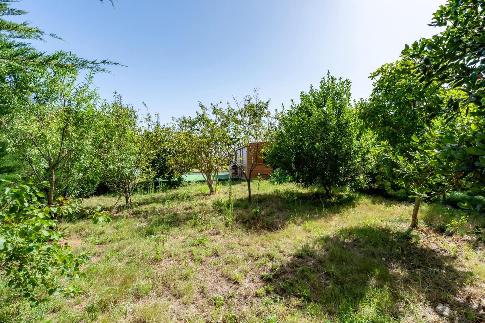 Finca/Casa Rural de 1 habitación en Los Realejos en venta - 180.000 € (Ref: 10013425)