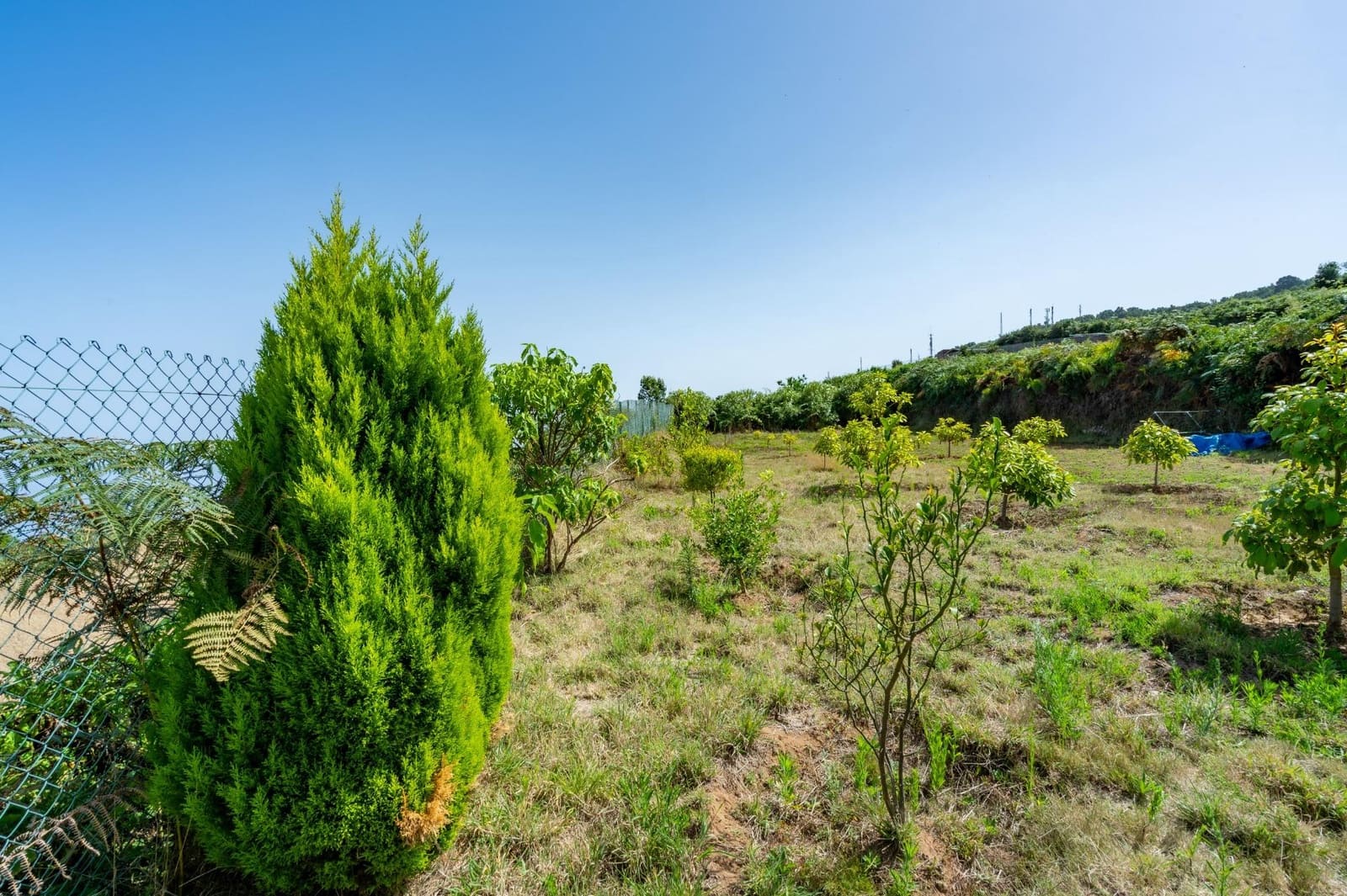 Finca/Casa Rural de 1 habitación en Los Realejos en venta - 180.000 € (Ref: 10013425)