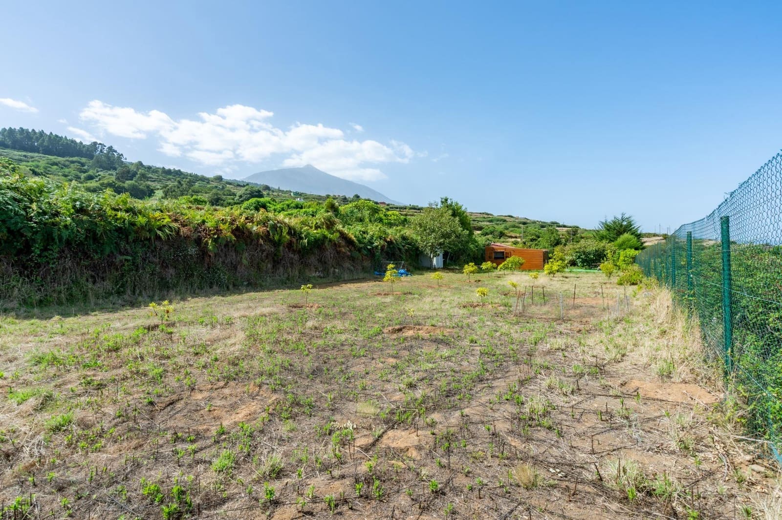 Finca/Casa Rural de 1 habitación en Los Realejos en venta - 180.000 € (Ref: 10013425)
