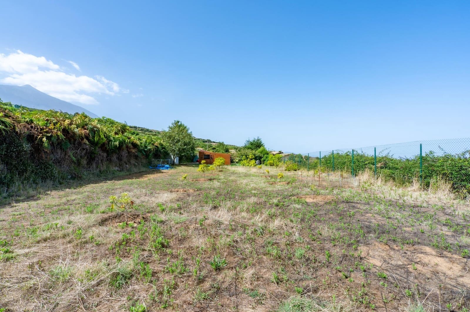 Finca/Casa Rural de 1 habitación en Los Realejos en venta - 180.000 € (Ref: 10013425)