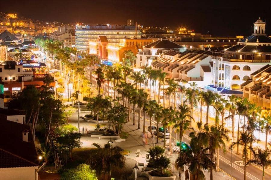 Kaupallinen vuokrattavana paikassa Playa de las Americas - 11 500 € (Ref: 10027406)