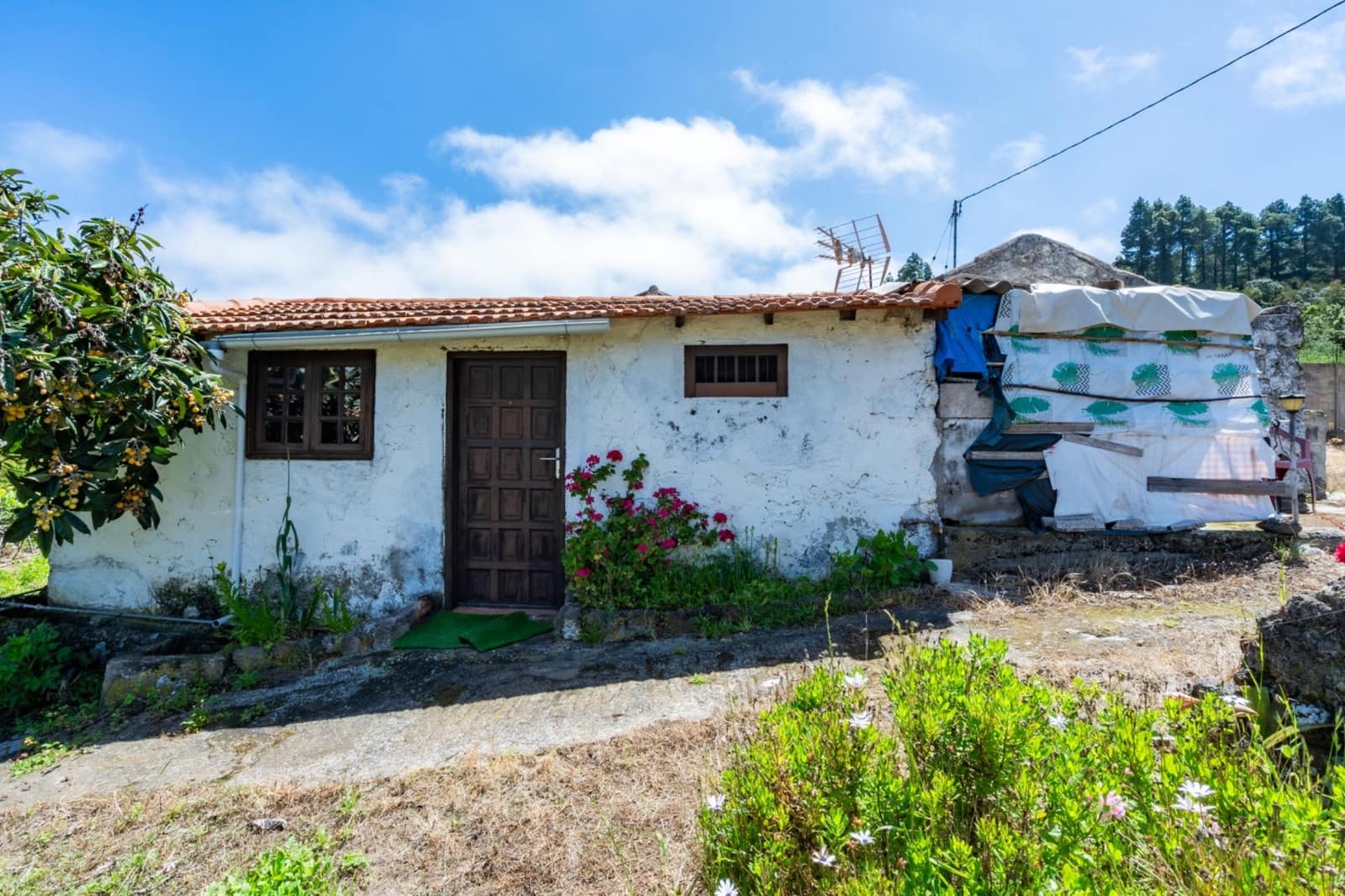 2 Zimmer Finca/Landgut zu verkaufen in Icod de los Vinos mit Garage - 520.000 € (Ref: 10142459)
