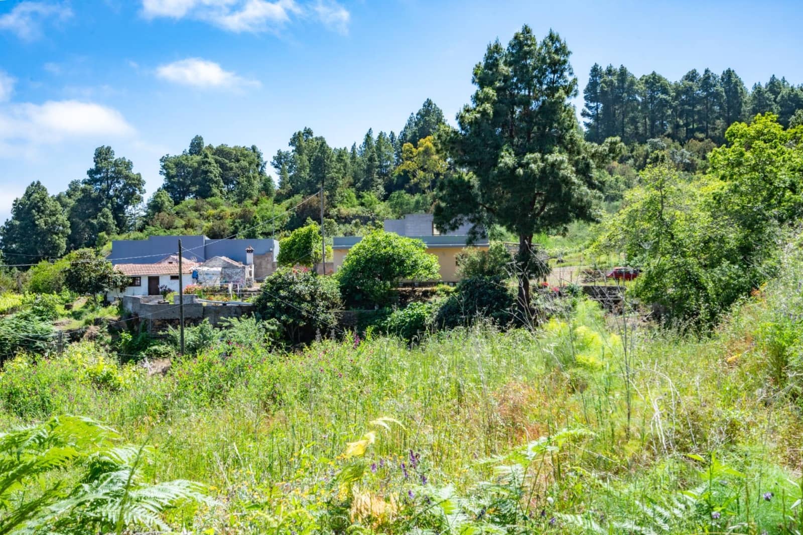 2 Zimmer Finca/Landgut zu verkaufen in Icod de los Vinos mit Garage - 520.000 € (Ref: 10142459)