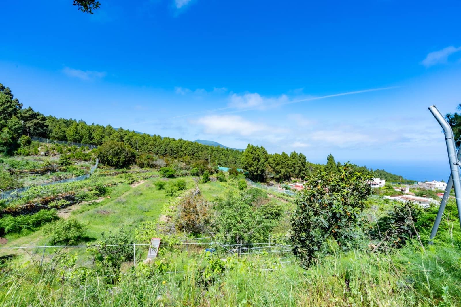 2 Zimmer Finca/Landgut zu verkaufen in Icod de los Vinos mit Garage - 520.000 € (Ref: 10142459)