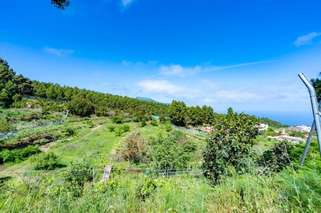 2 sovrum Finca/Hus på landet till salu i Icod de los Vinos med garage - 520 000 € (Ref: 10142459)