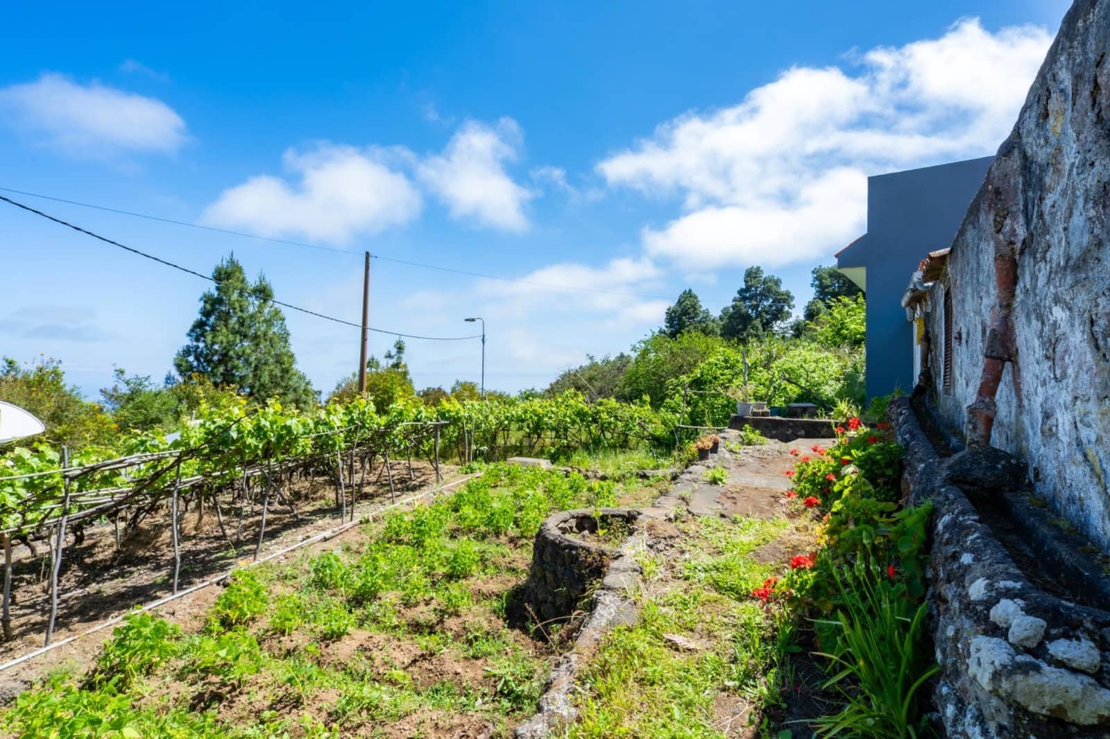 2 Zimmer Finca/Landgut zu verkaufen in Icod de los Vinos mit Garage - 520.000 € (Ref: 10142459)