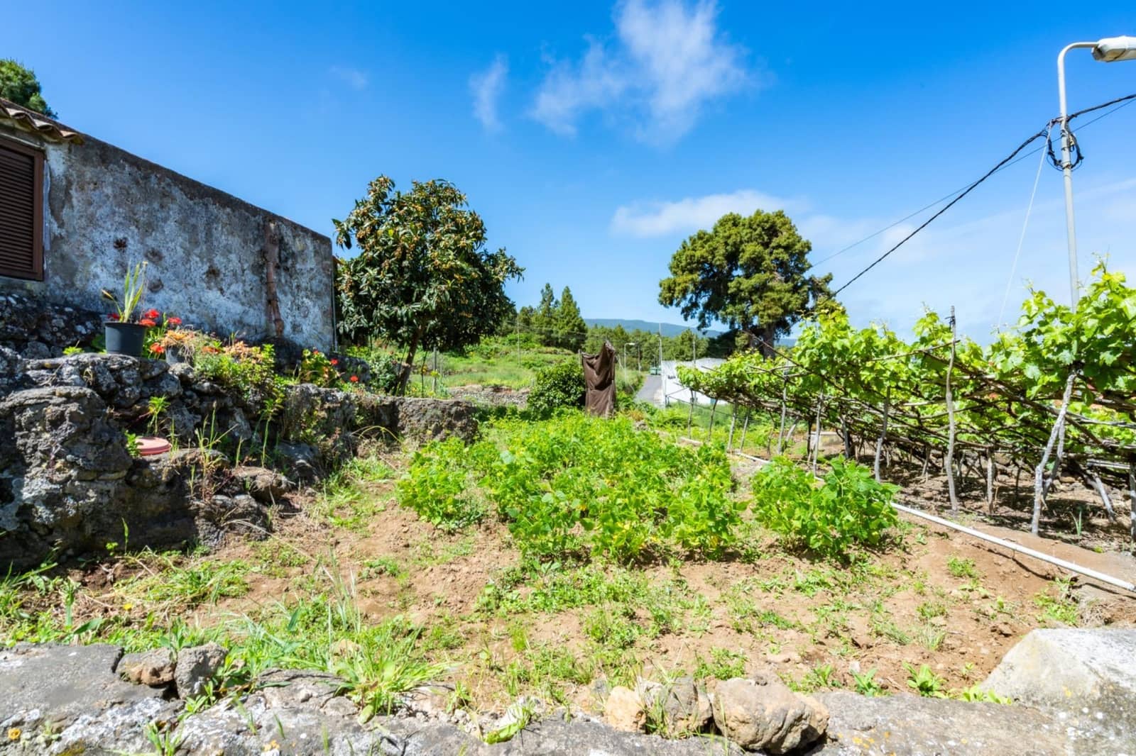 2 Zimmer Finca/Landgut zu verkaufen in Icod de los Vinos mit Garage - 520.000 € (Ref: 10142459)