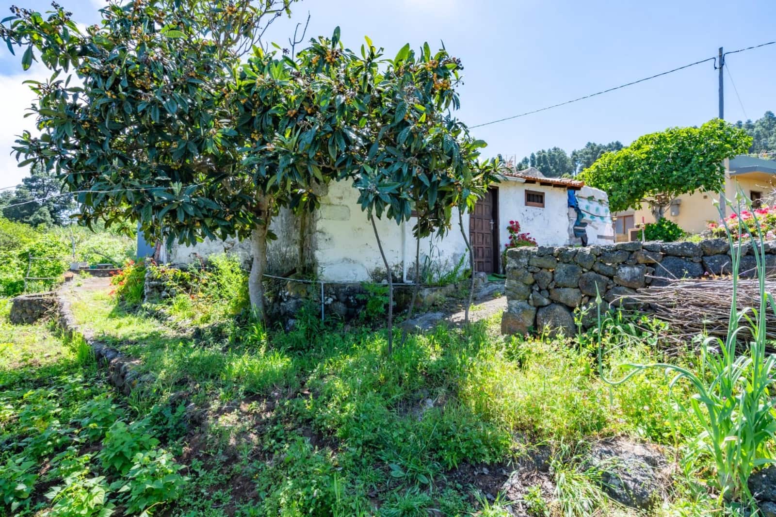 2 Zimmer Finca/Landgut zu verkaufen in Icod de los Vinos mit Garage - 520.000 € (Ref: 10142459)