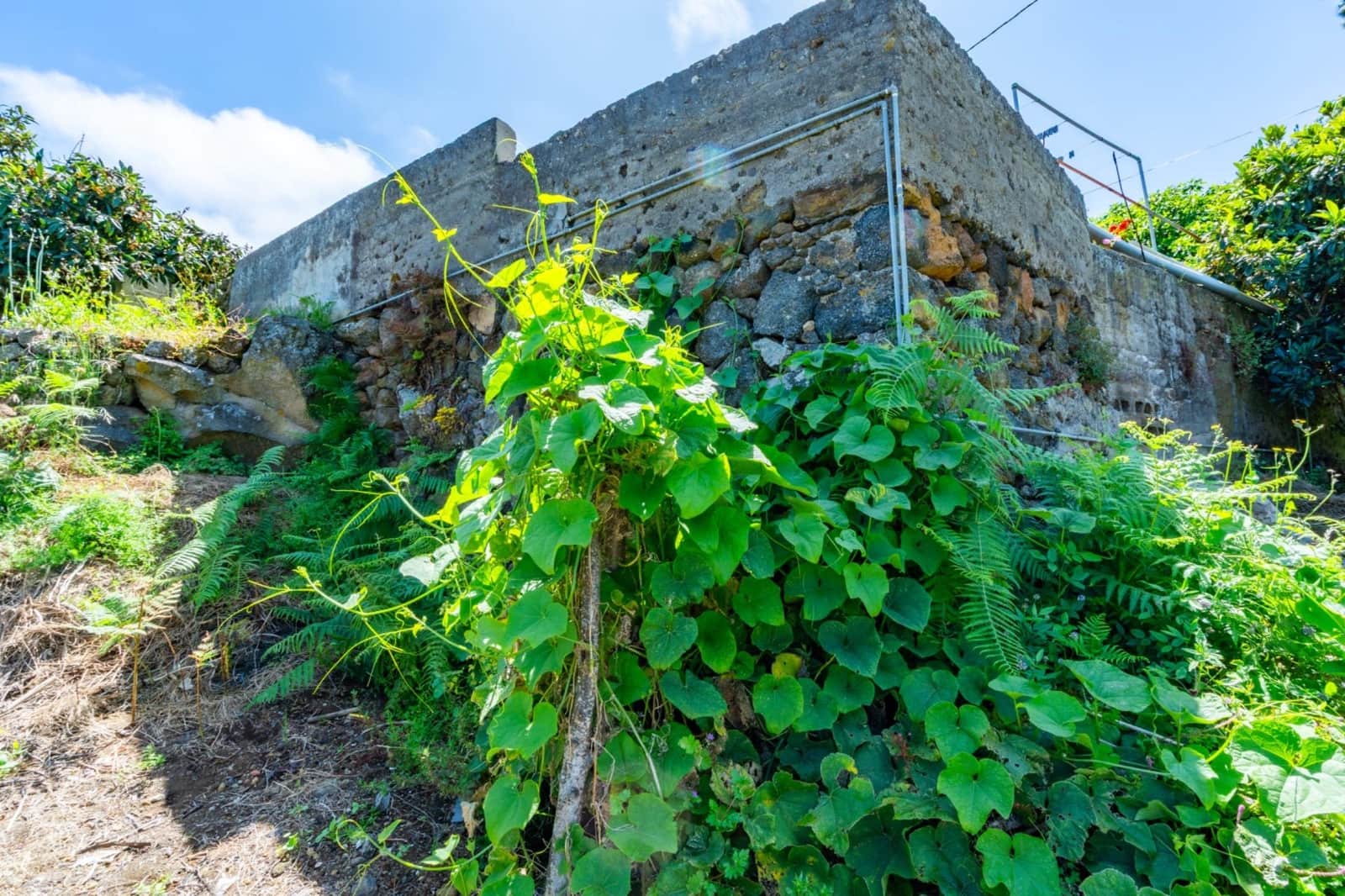 2 Zimmer Finca/Landgut zu verkaufen in Icod de los Vinos mit Garage - 520.000 € (Ref: 10142459)