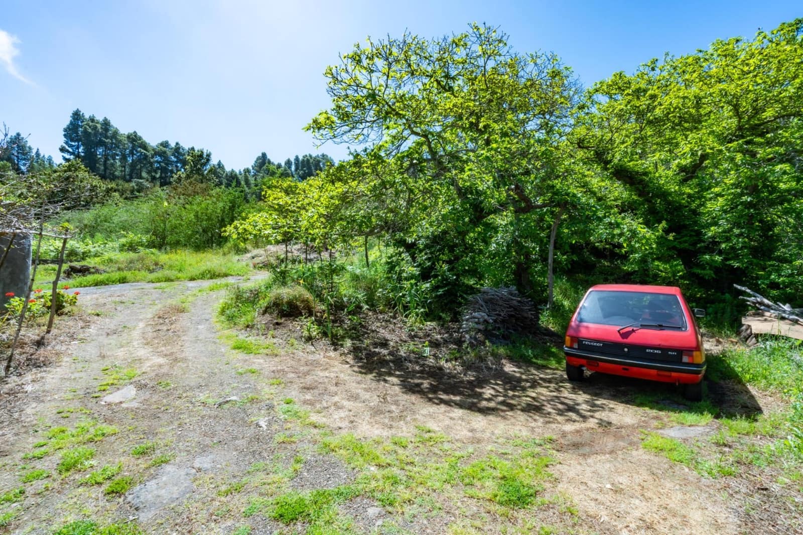 2 Zimmer Finca/Landgut zu verkaufen in Icod de los Vinos mit Garage - 520.000 € (Ref: 10142459)