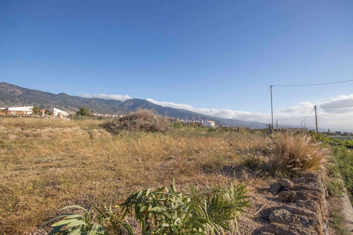 Grunde uden byggetilladelser til salg i Guimar - € 118.000 (Ref: 3907319)