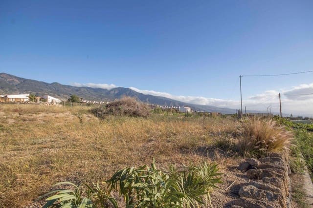 Undeveloped Land for sale in Güímar - € 118,000 (Ref: 3907319)