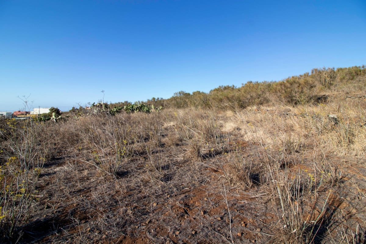 Terreno para Construção para venda em La Esperanza - 440 000 € (Ref: 6176056)