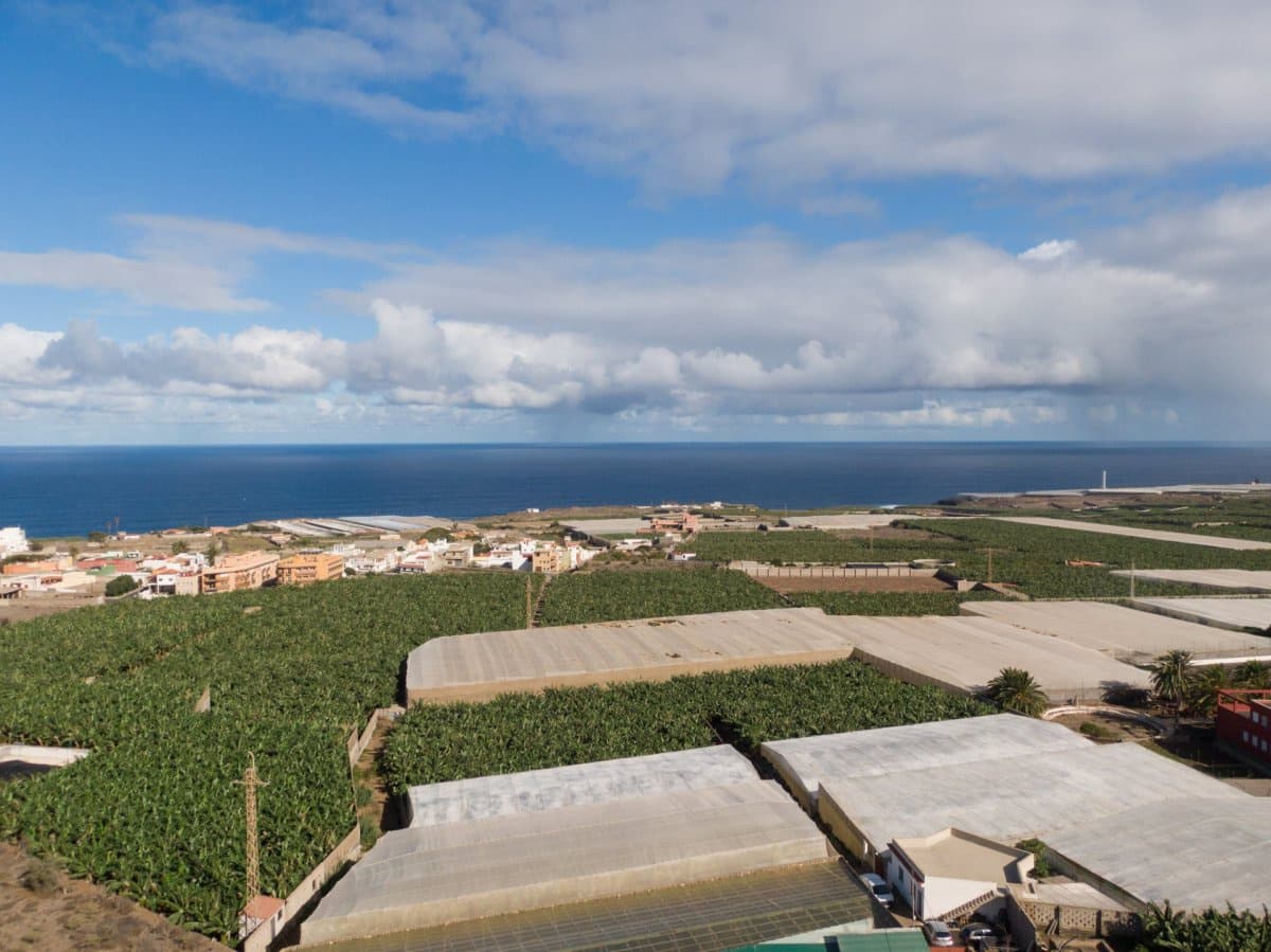 Terreno para Construção para venda em Buenavista del Norte - 71 500 € (Ref: 6176308)