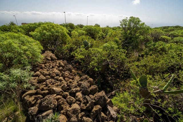 Undeveloped Land for sale in La Gallega, Santa Cruz de Tenerife - € 215,000 (Ref: 6670018)