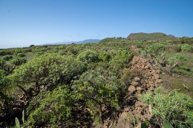 Undeveloped Land for sale in La Gallega, Santa Cruz de Tenerife - € 215,000 (Ref: 6670018)