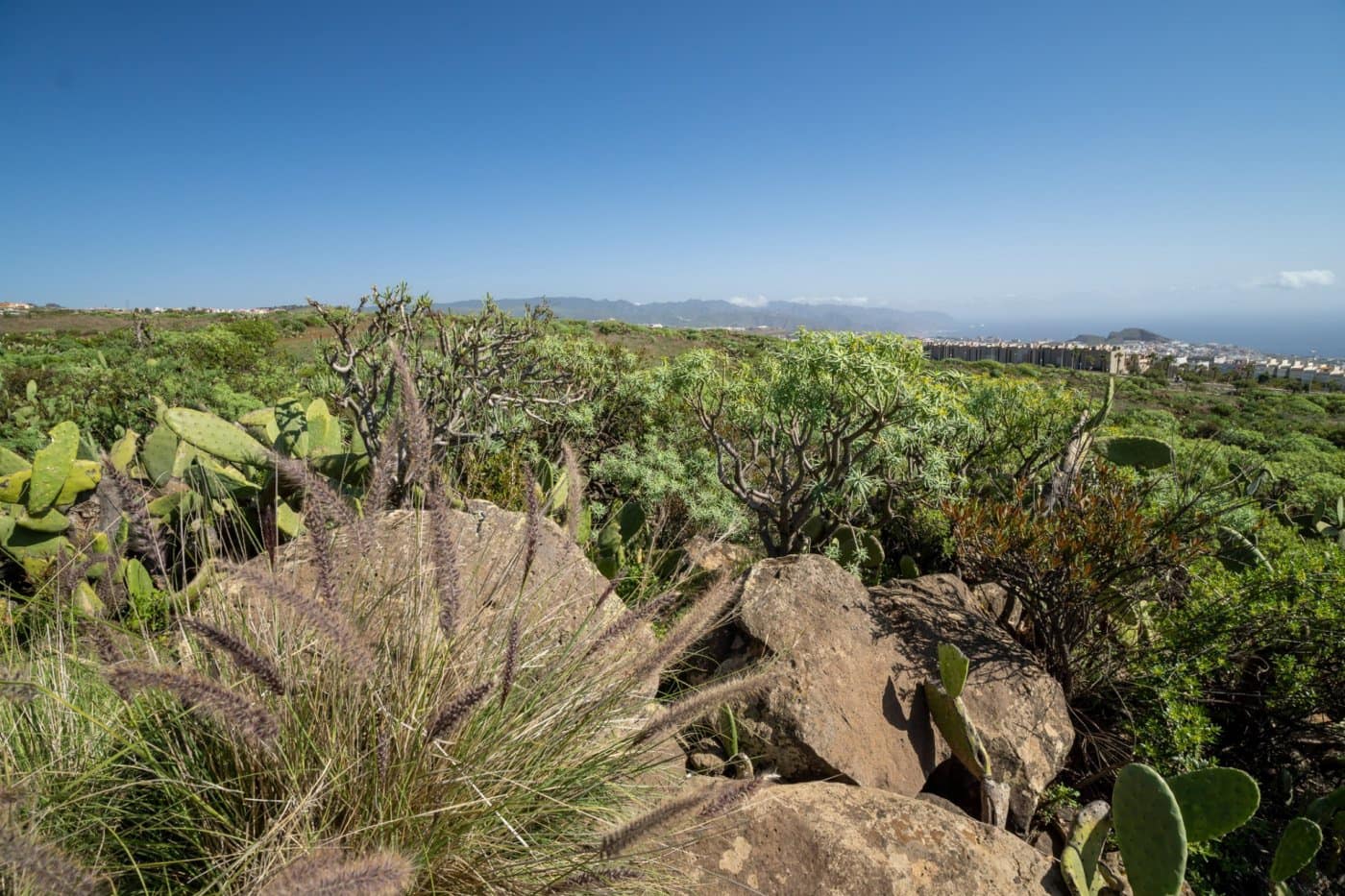 Grunde uden byggetilladelser til salg i Santa Cruz de Tenerife - € 215.000 (Ref: 6670018)