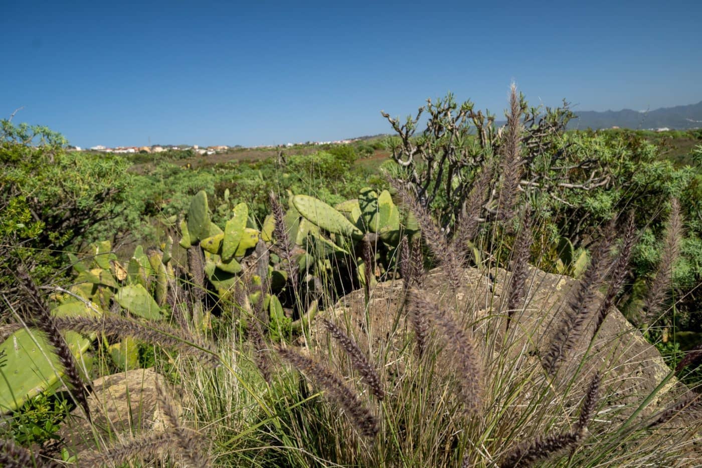 Grunde uden byggetilladelser til salg i Santa Cruz de Tenerife - € 215.000 (Ref: 6670018)