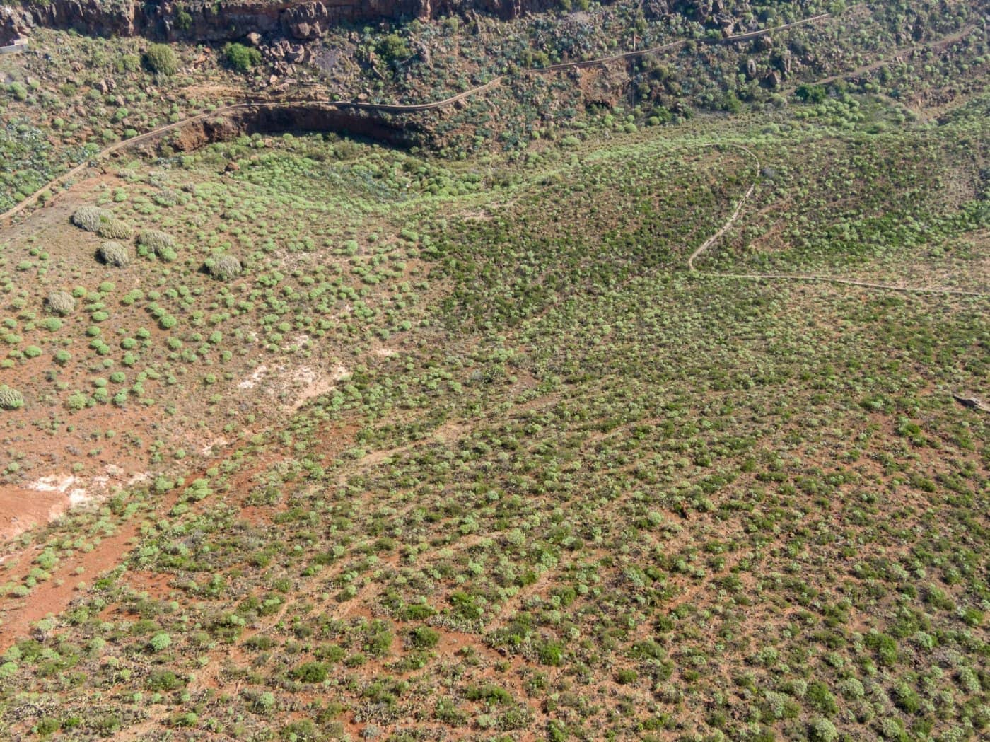 Grunde uden byggetilladelser til salg i El Rosario - € 98.000 (Ref: 6670019)